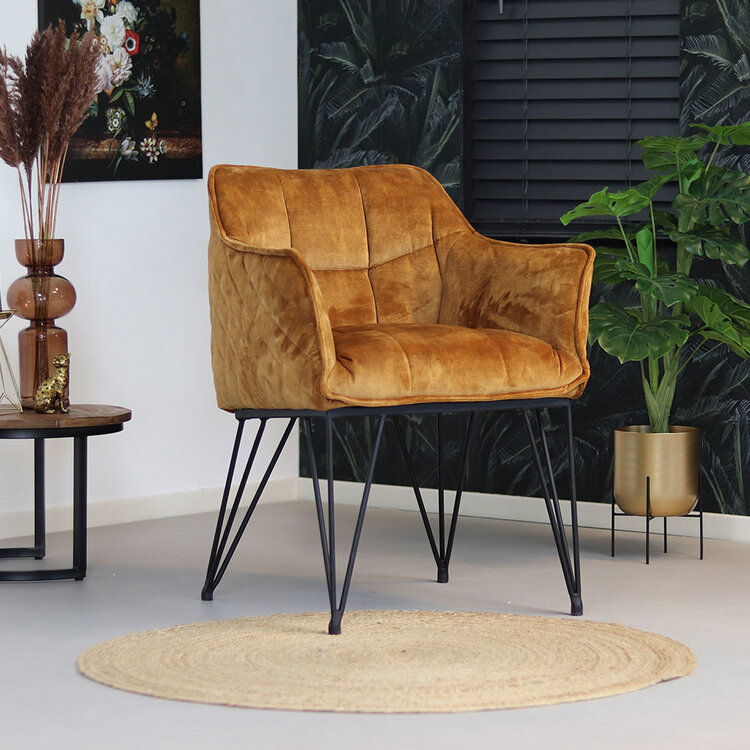 Chaise de salle à manger velours Jayron cognac