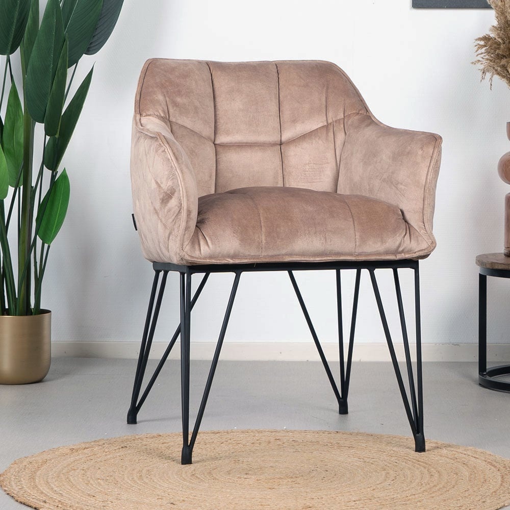 Chaise de salle à manger velours Jayron taupe