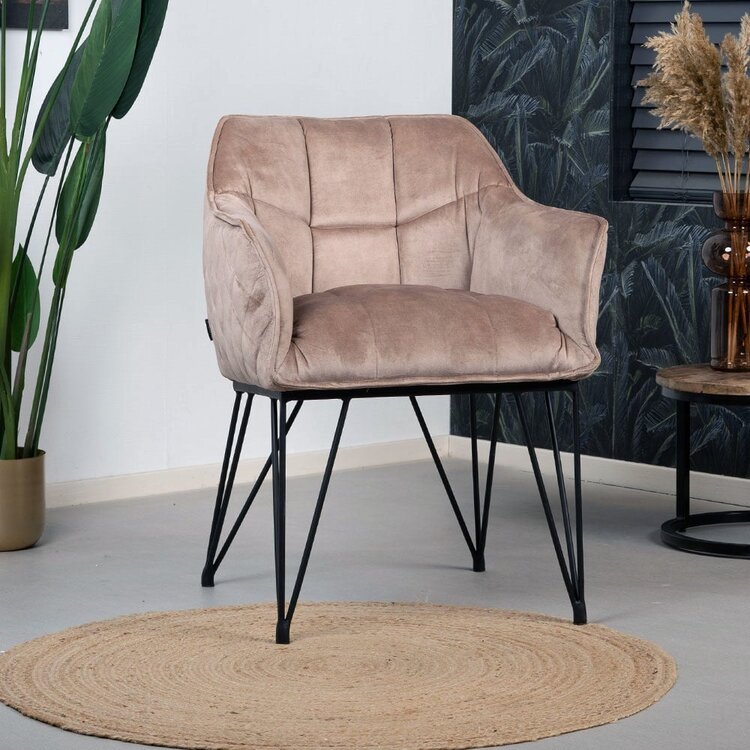 Chaise de salle à manger velours Jayron taupe