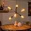 Suspension Harvey 6 ampoules