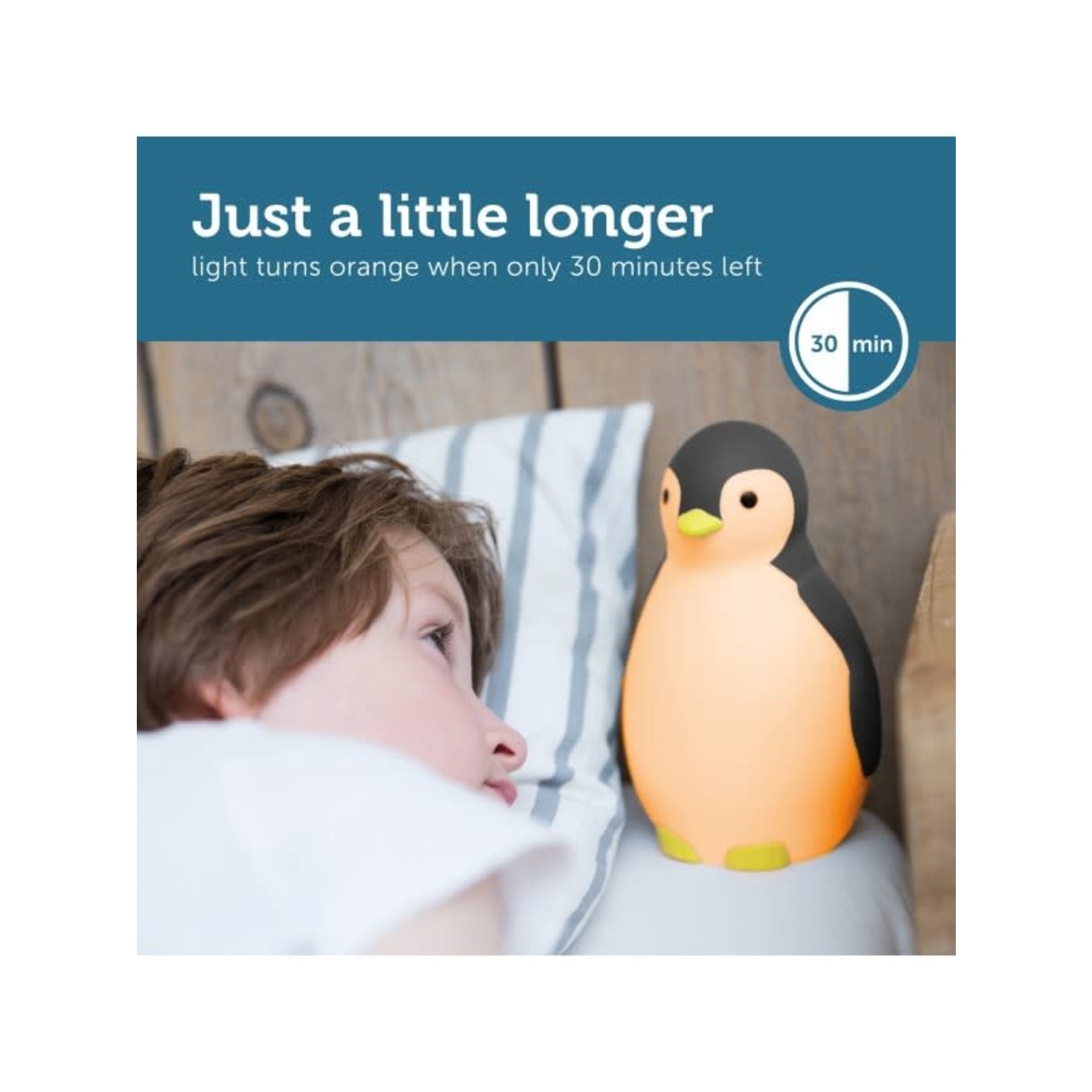 Zazu SLEEPTRAINER PENGUIN - PAM GREY