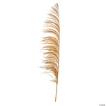 Palm uva tak 150 naturel