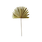 palmblad Tak Gedroogd 103cm