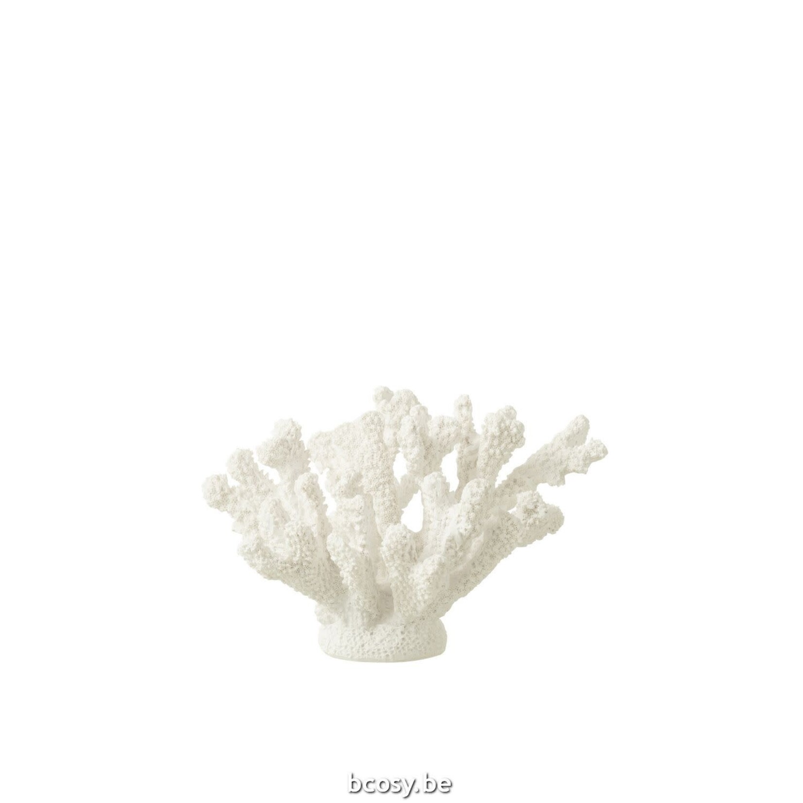 J-Line Koraal Polyresine Wit Medium