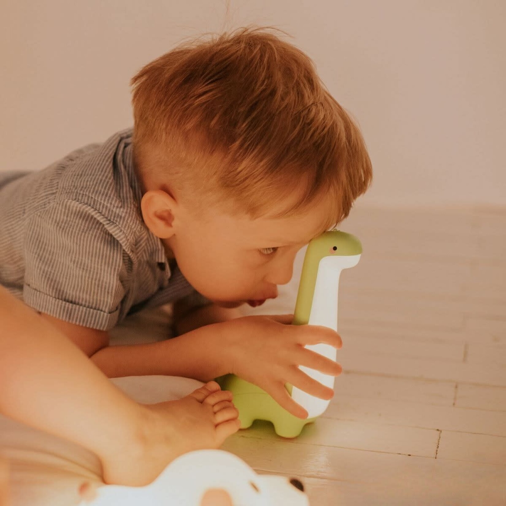 Mary's LED LAMP - Dinosaur