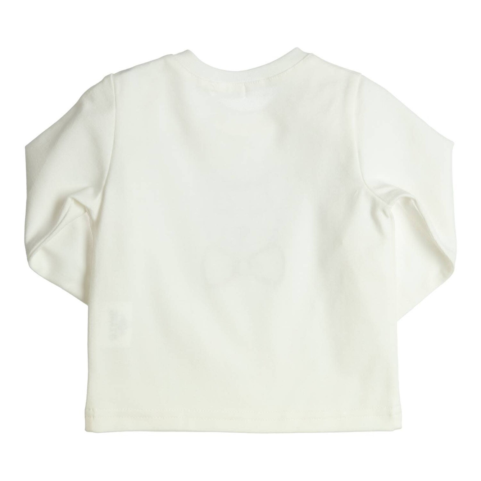 Gymp Longsleeve Aerodoux_352-5670-20_OW-GN