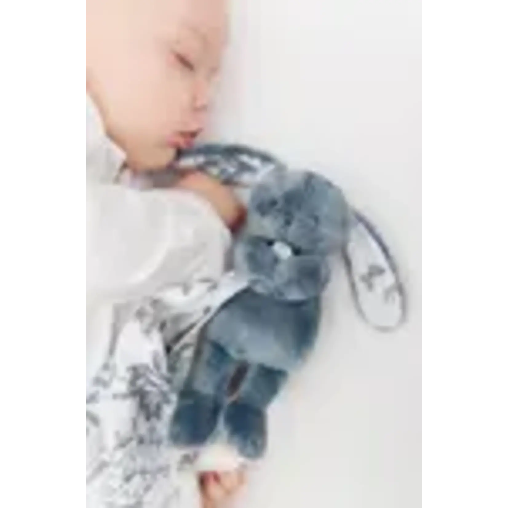 Tartine et Chocolat Augustin le Lapin blue