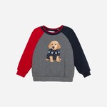 Patachou SWEATER - MINI BOY BALMORAL - INVERNO 2025 DARK MELANGE GREY