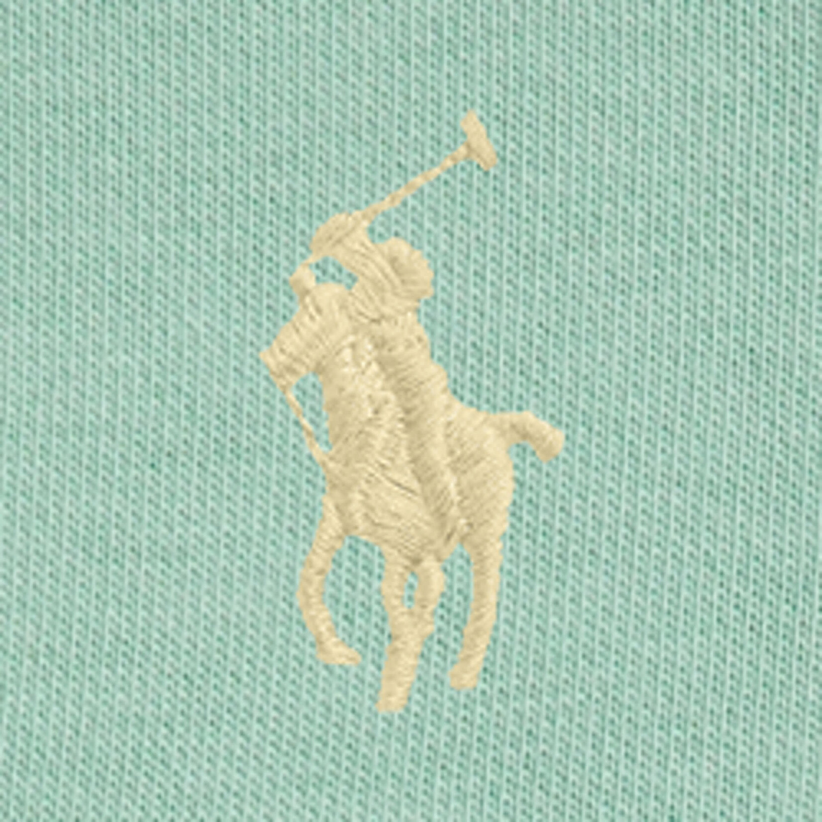 Ralph Lauren FZ BOY HU-SETS-PANT SET CELADON