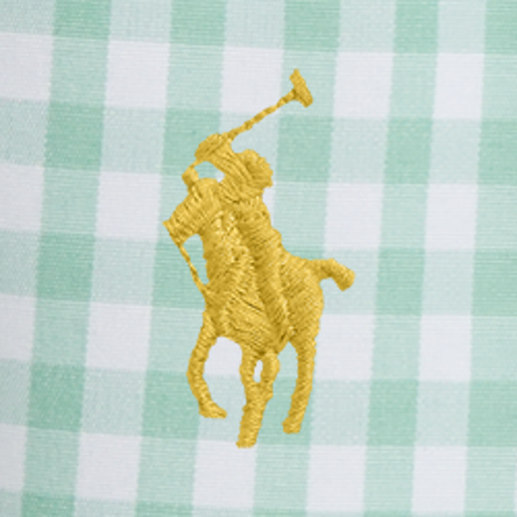 Ralph Lauren TRAVLR SHORT-SWIMWEAR-TRUNK CELADON