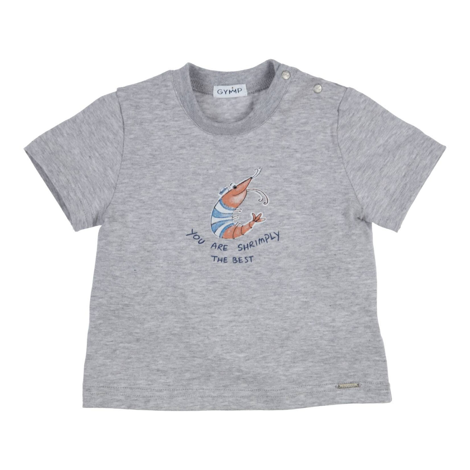 Gymp T-shirt Aerochine You Are Shrimply The Best Grey Melange