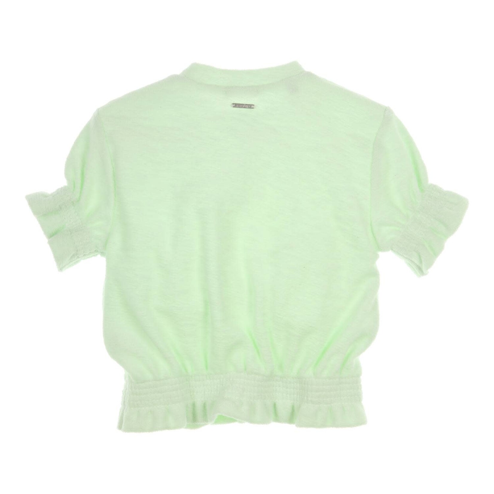 Gymp T-shirt Sandro Mint Mint