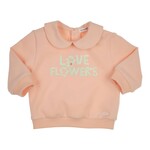 Gymp Sweater Carbon Apricot Apricot