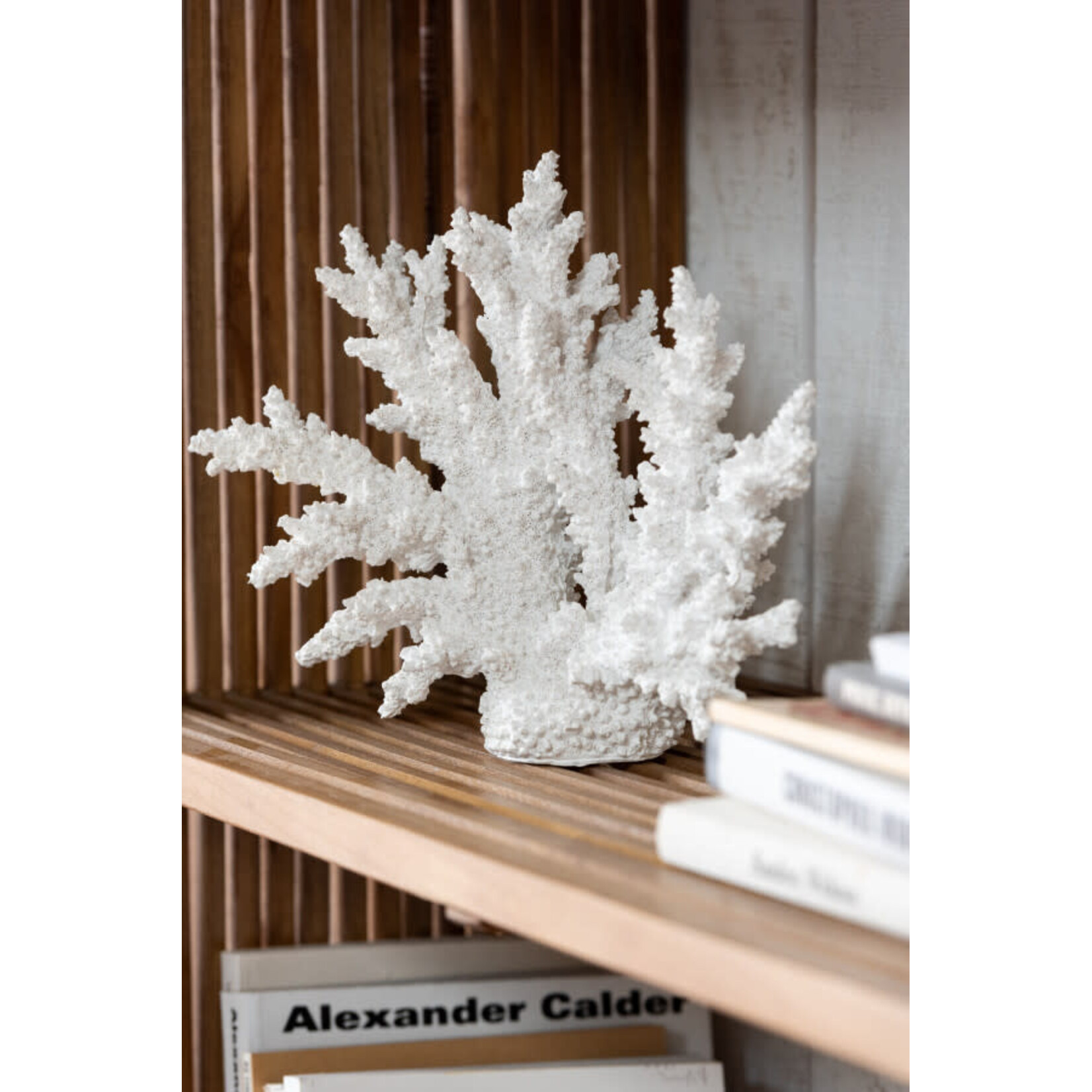 J-Line Koraal Polyresine Wit Extra L