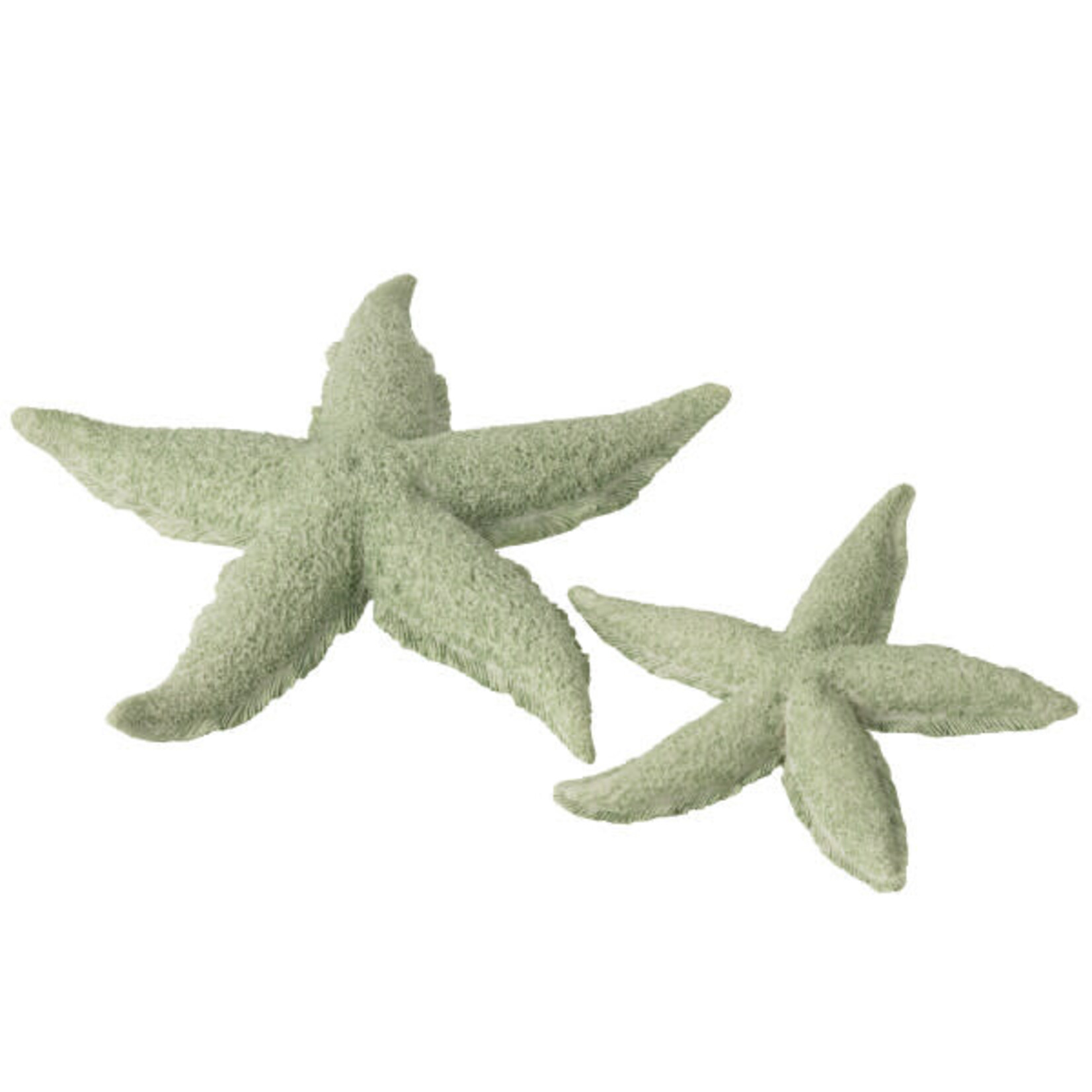 J-Line Zeester Polyresin Muntgroen Large