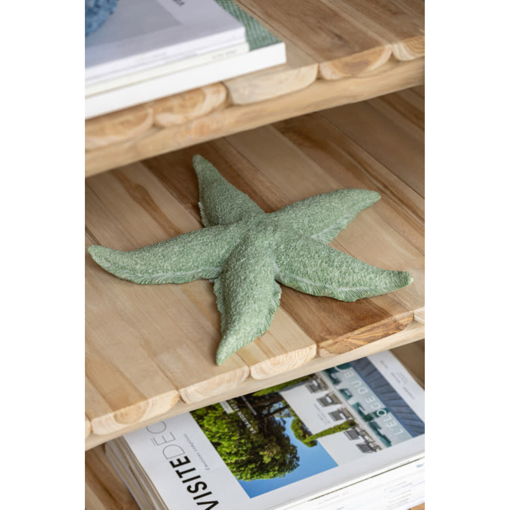 J-Line Zeester Polyresin Muntgroen Large