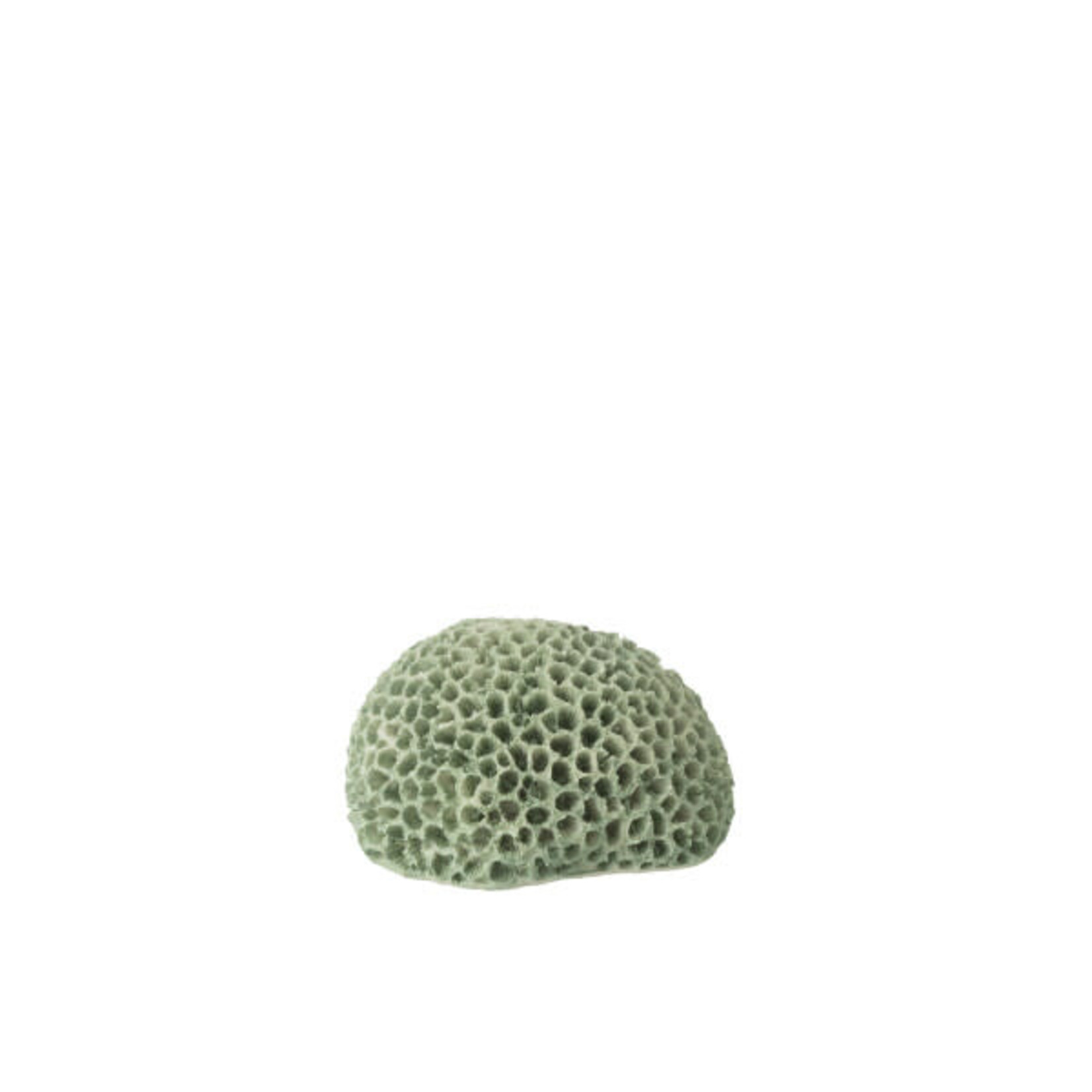 J-Line Koraal Polyresin Muntgroen Small