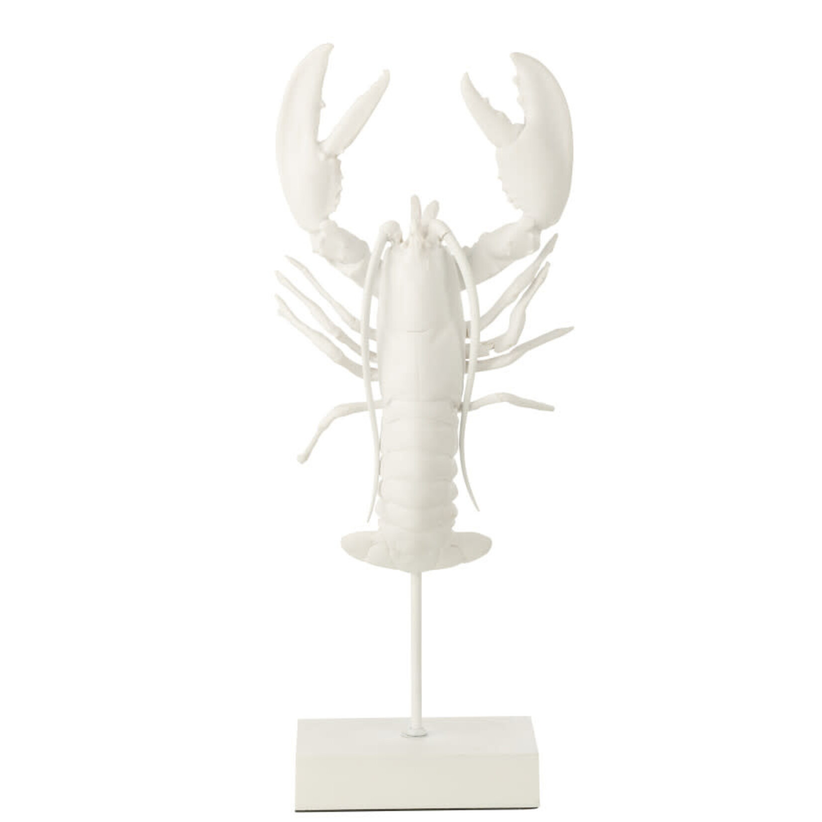 J-Line Kreeft Op Voet Polyresin Wit