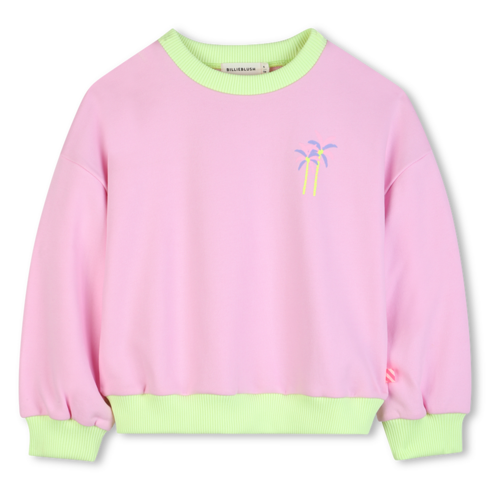 BILLIEBLUSH SWEAT NOSEGAY U22102