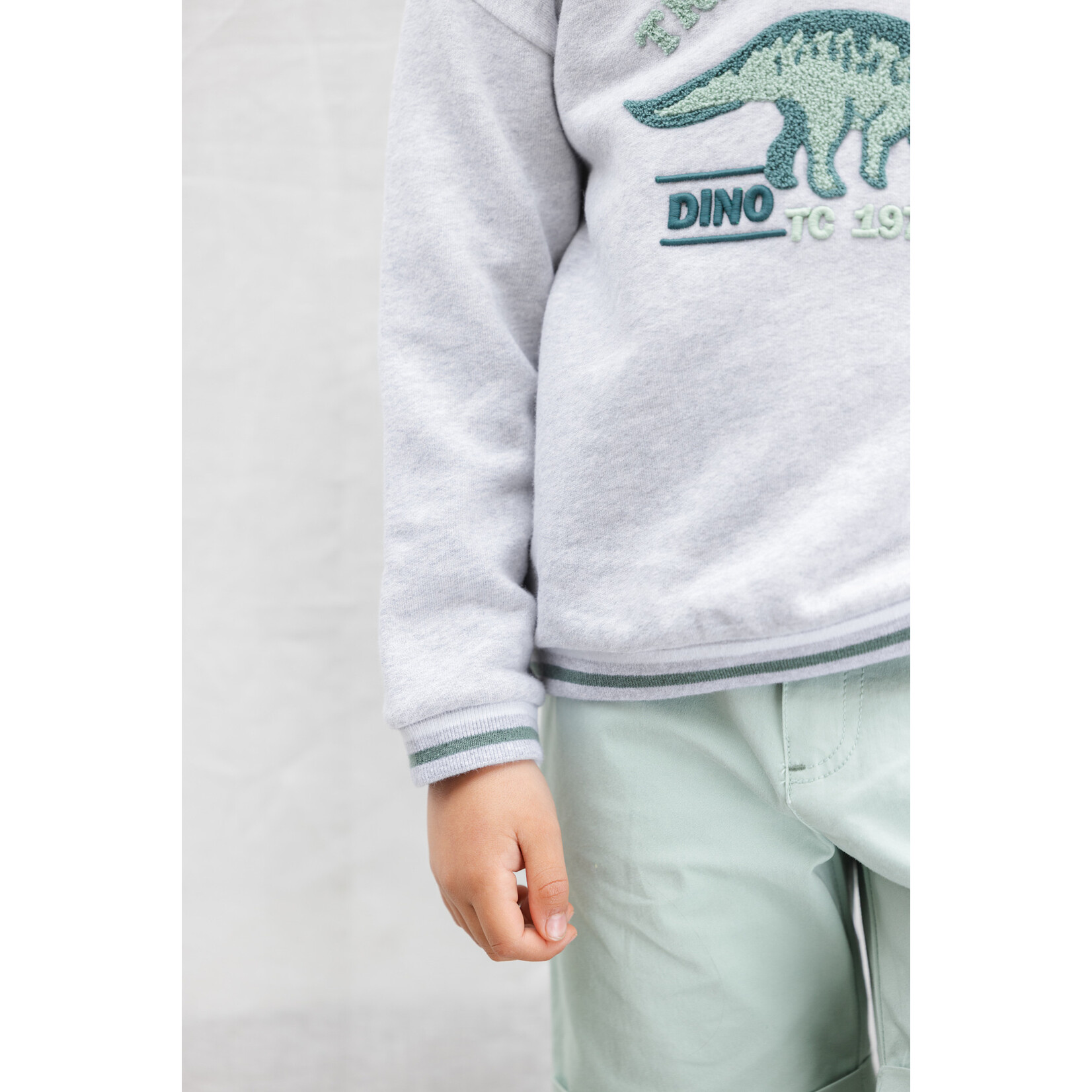 Tartine et Chocolat SWEAT1BIS CC15013 D
