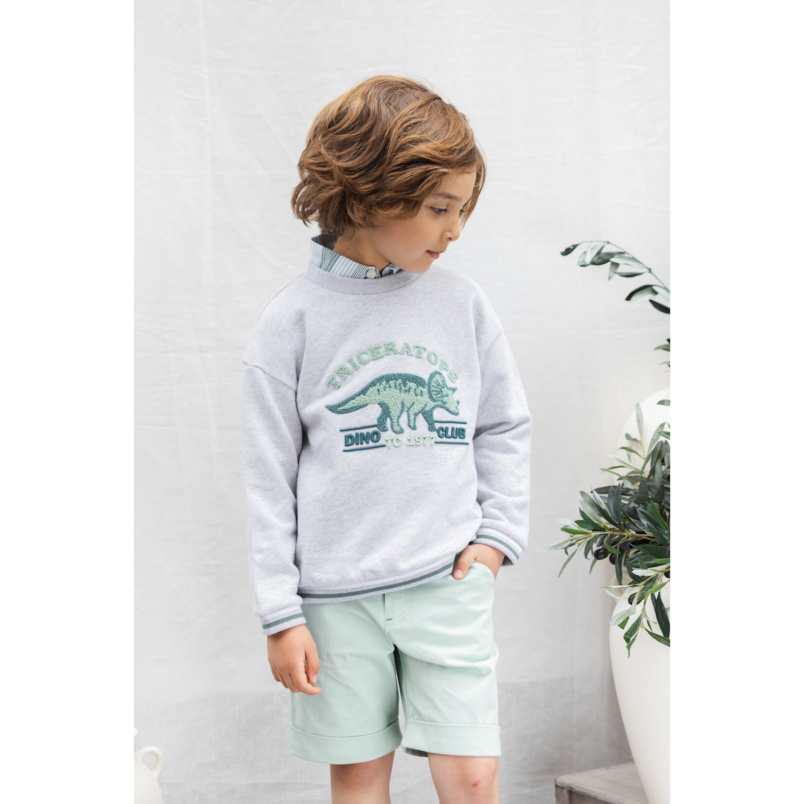 Tartine et Chocolat SWEAT1BIS CC15013 D