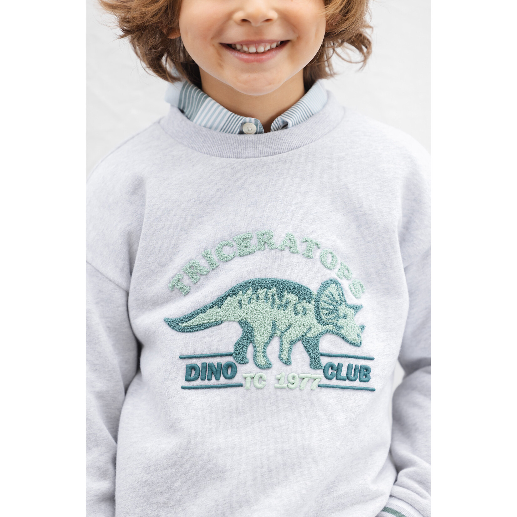 Tartine et Chocolat SWEAT1BIS CC15013 D