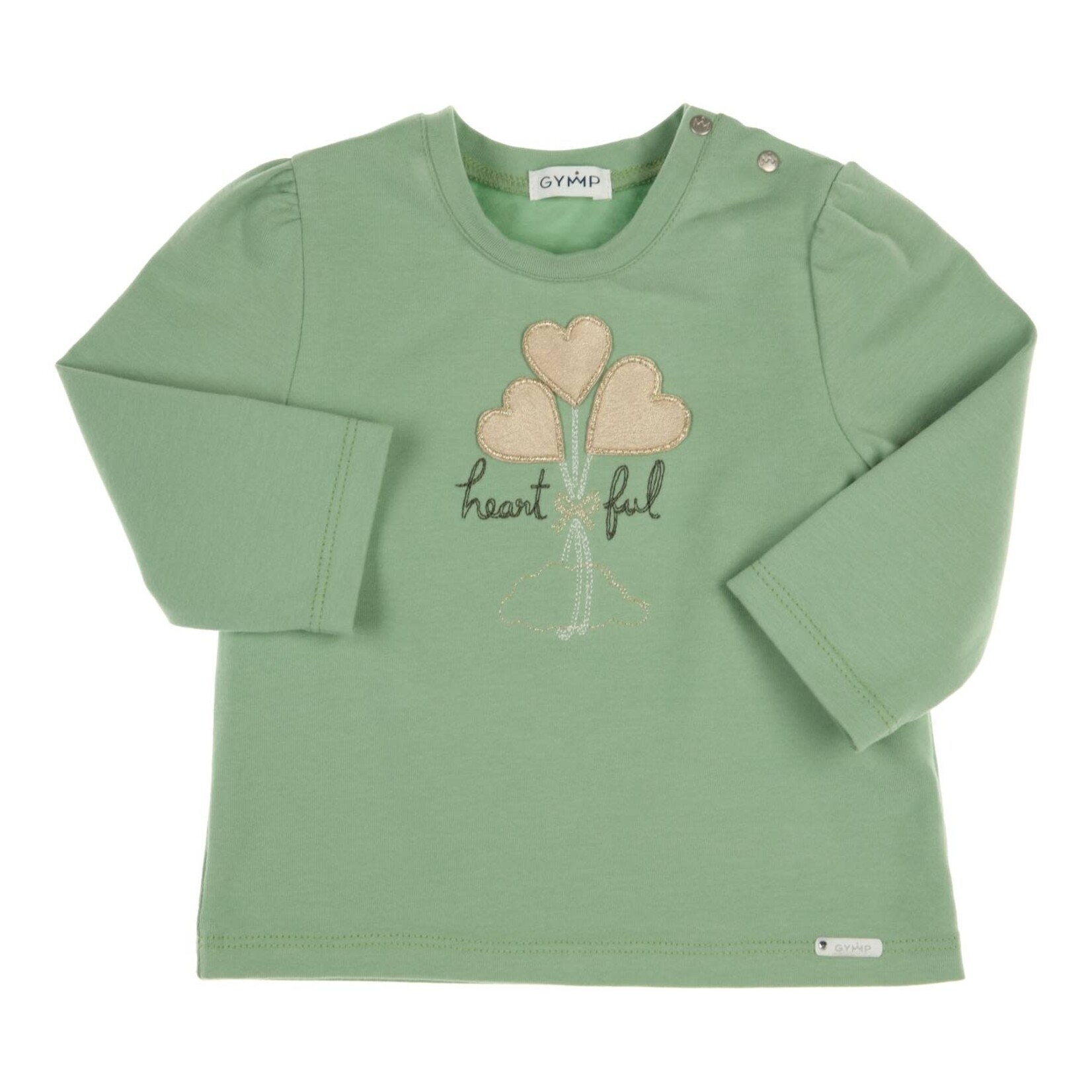 Gymp Longsleeve Aerodoux Green 352-6603-10