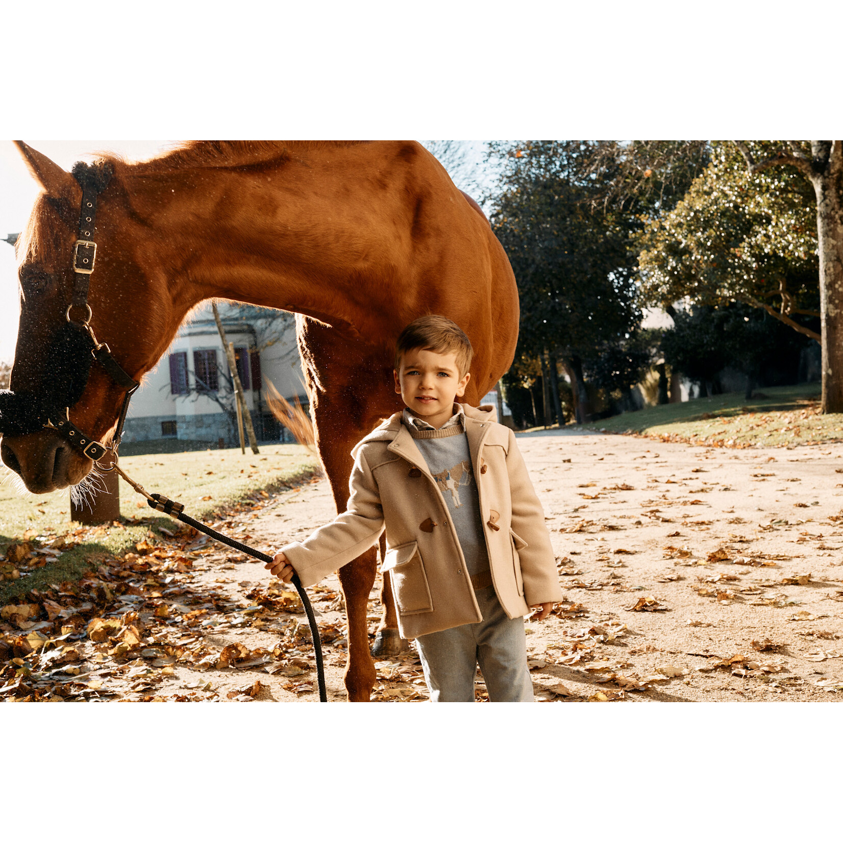Patachou SWEATER - MINI BOY SOFT BLUE -  INVERNO 2026 6209 20 00 BLUE