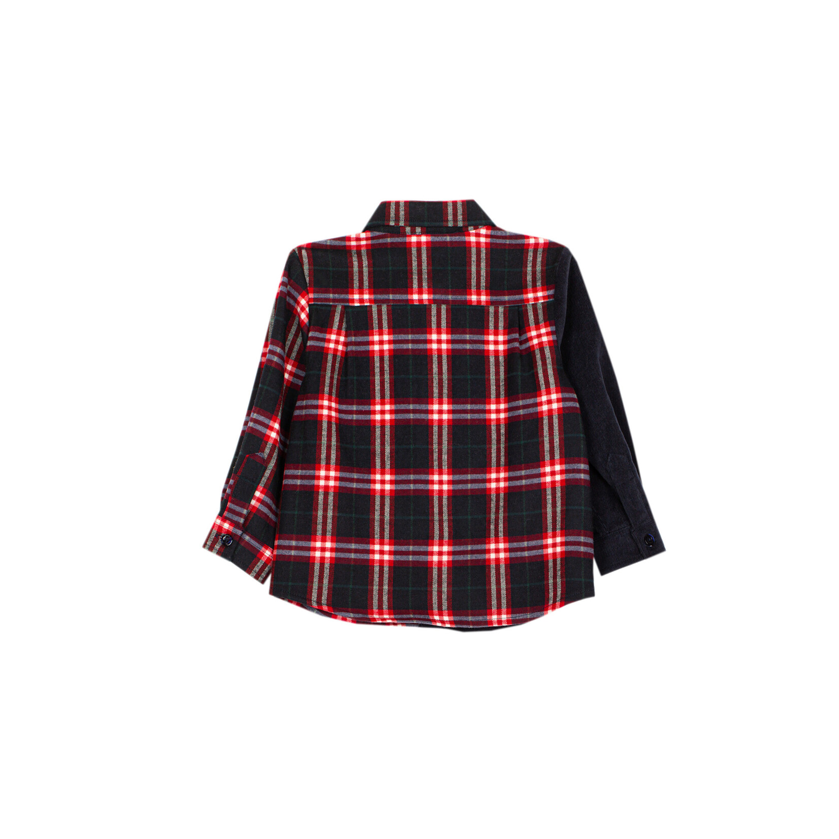 Patachou CAMISA - MINI BOY BALMORAL - INVERNO 2026 6205 30 00 BLUE BEIGE CHECK F26-147