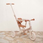 Little Dutch Driewieler met duwstang Sunny Flower