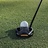 Spider Putter