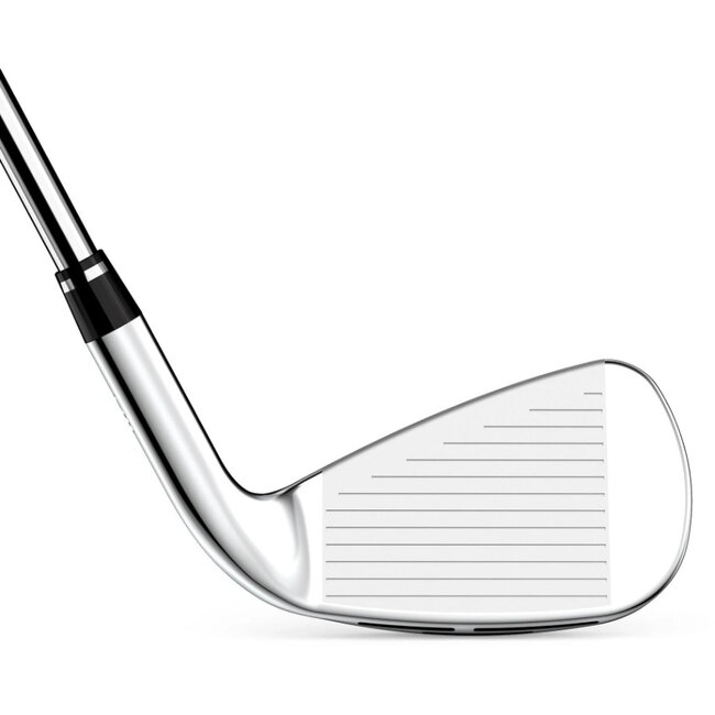 Wilson DYNAPWR IJzerset heren staal linkshandig