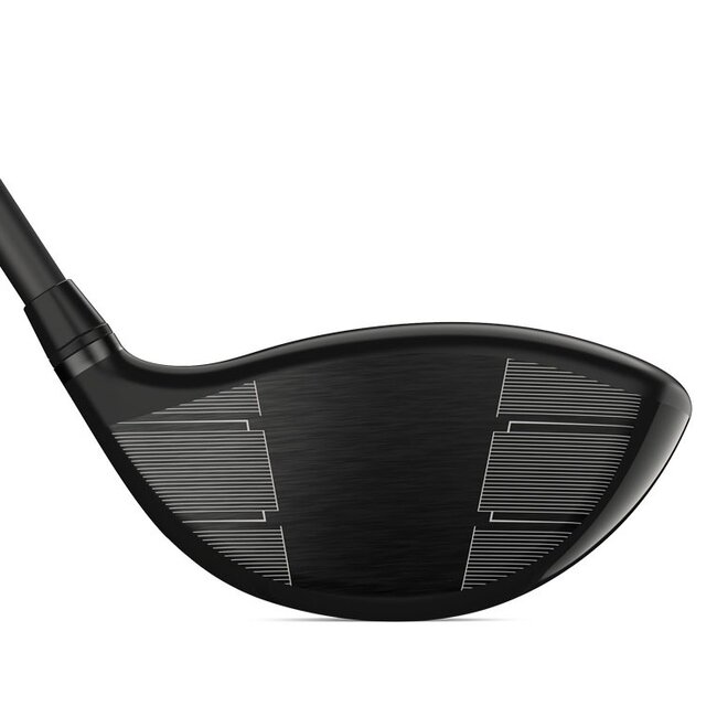 Wilson DYNAPWR Carbon Driver linkshandig