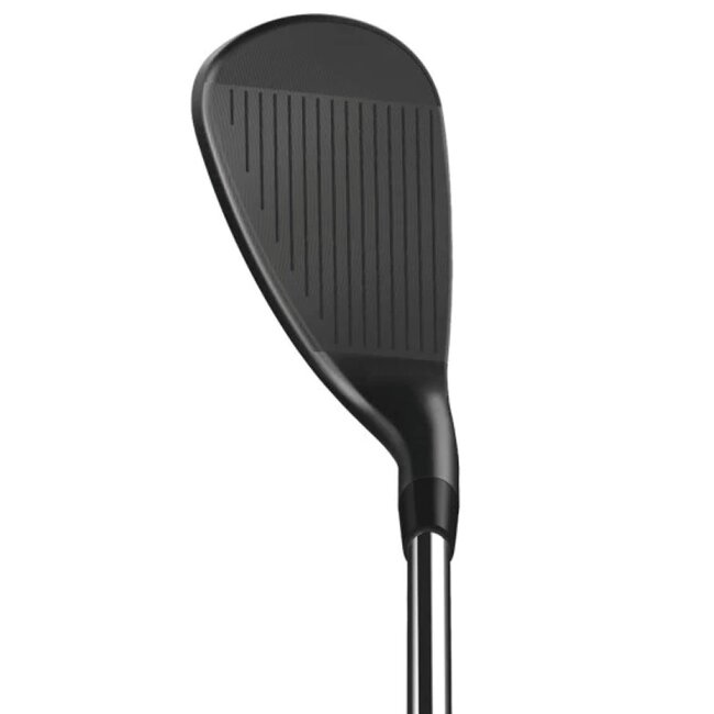 Wilson Infinite Wedge staal linkshandig