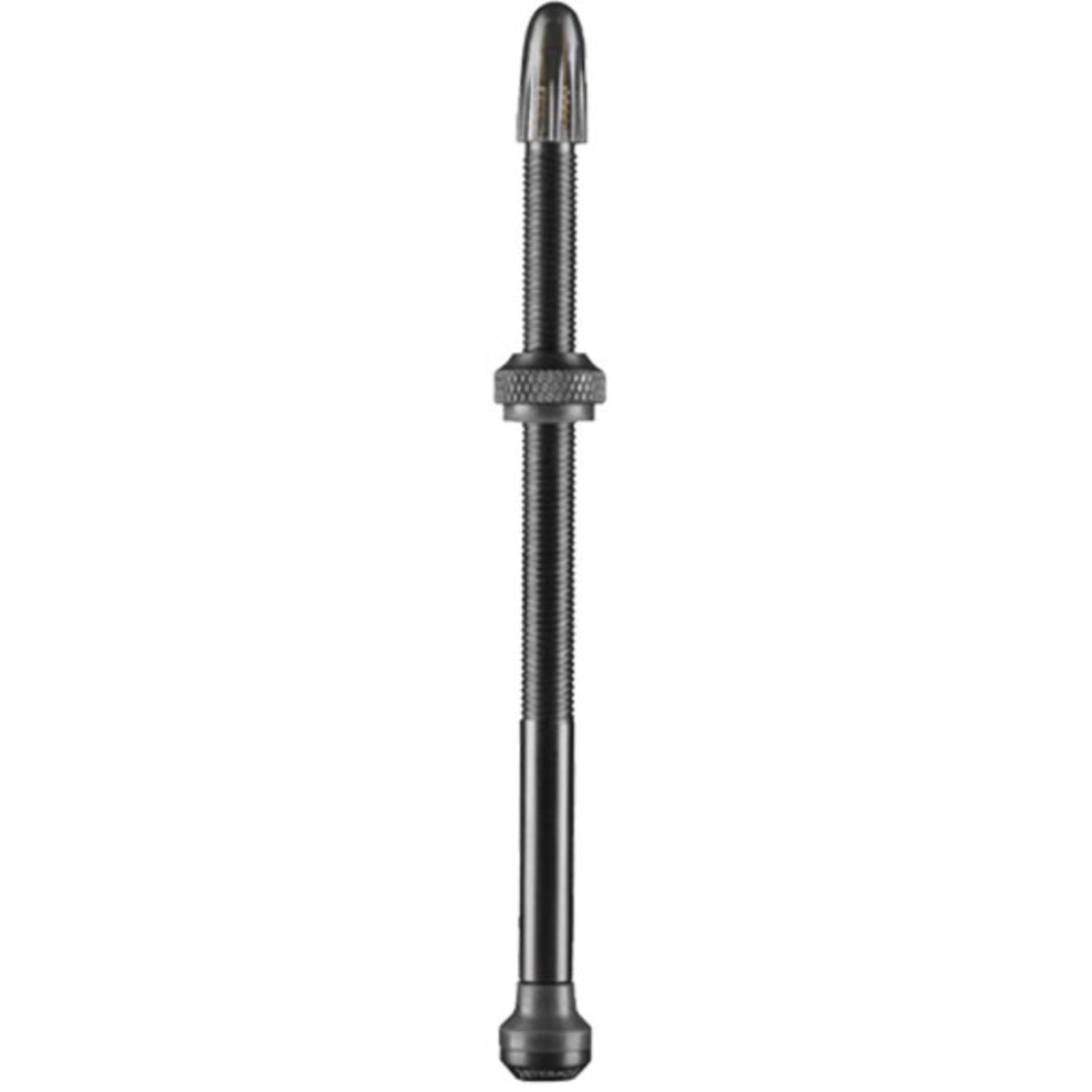 SCHWALBE Schwalbe Tubeless Valves - 100mm Presta