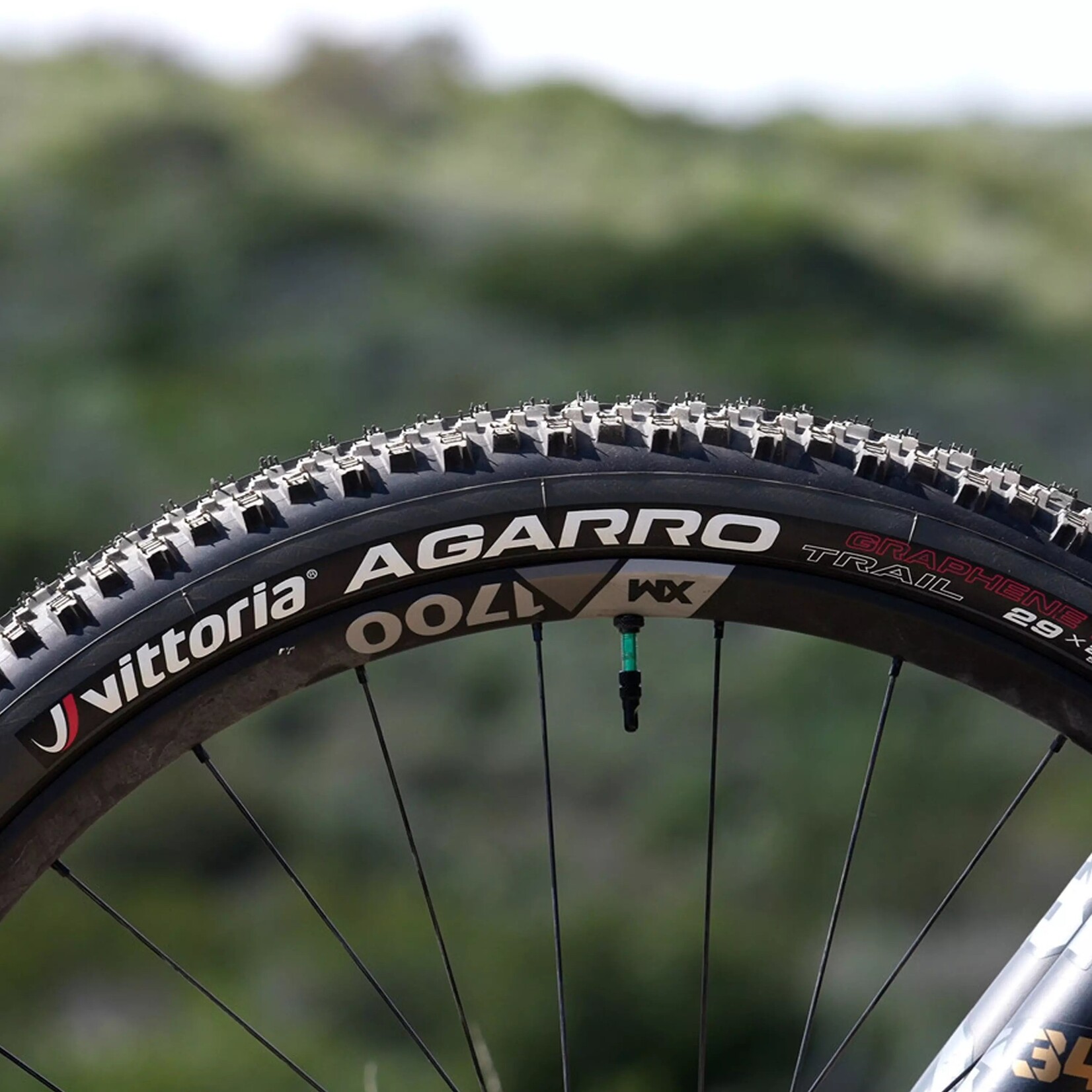 Vittoria Agarro Trail MTB Tyre Thame Cycles
