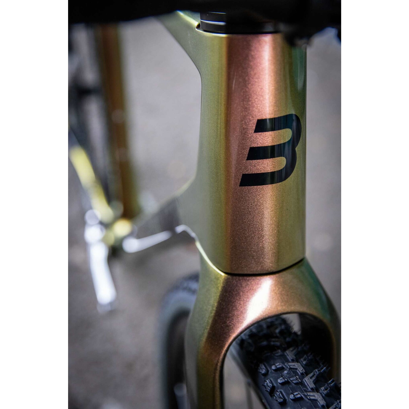 Basso Basso Palta 2 Gravel Bike with Shimano GRX RX812 Limited addition  in Medium