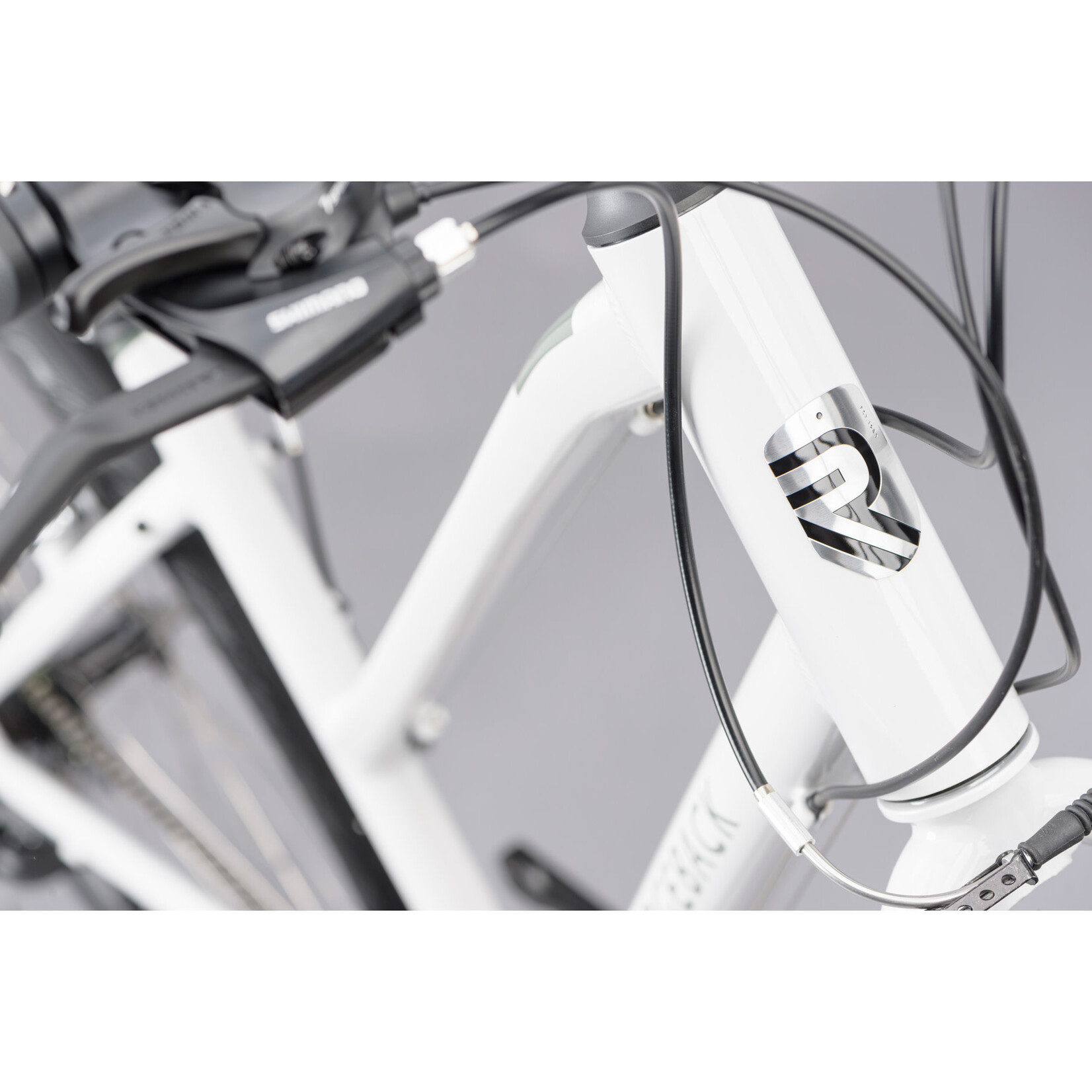 Ridgeback Ridgeback Motion Open Frame Hybrid