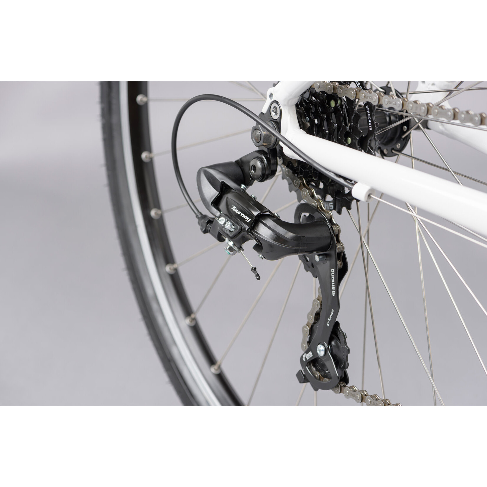 Ridgeback Ridgeback Motion Open Frame Hybrid