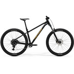 Merida Merida BIG TRAIL 300