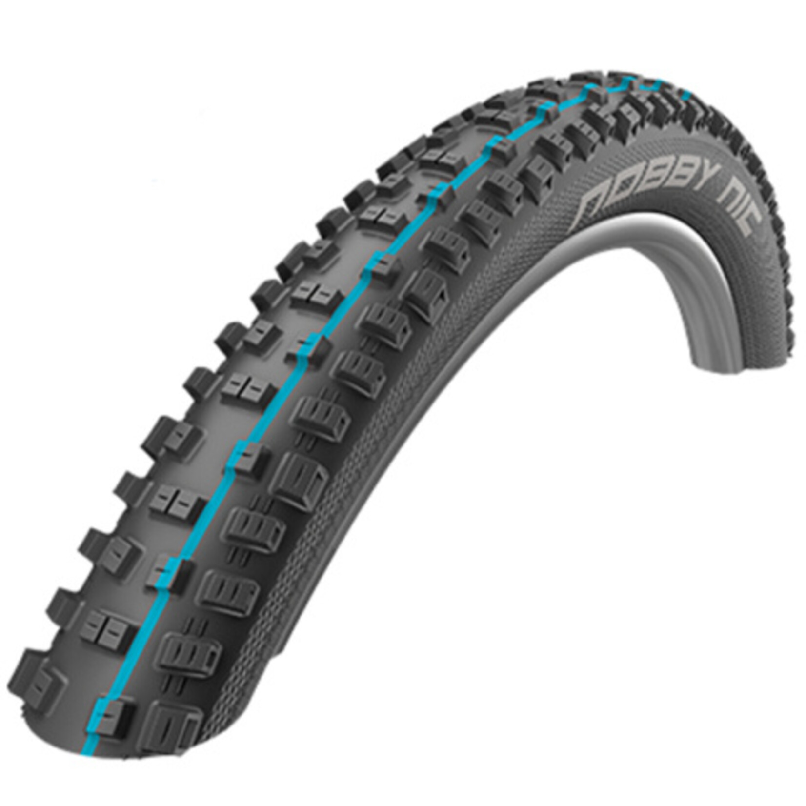 SCHWALBE Schwalbe Nobby Nic 29 x 2.25 S/Ground S/Grip TL-Easy