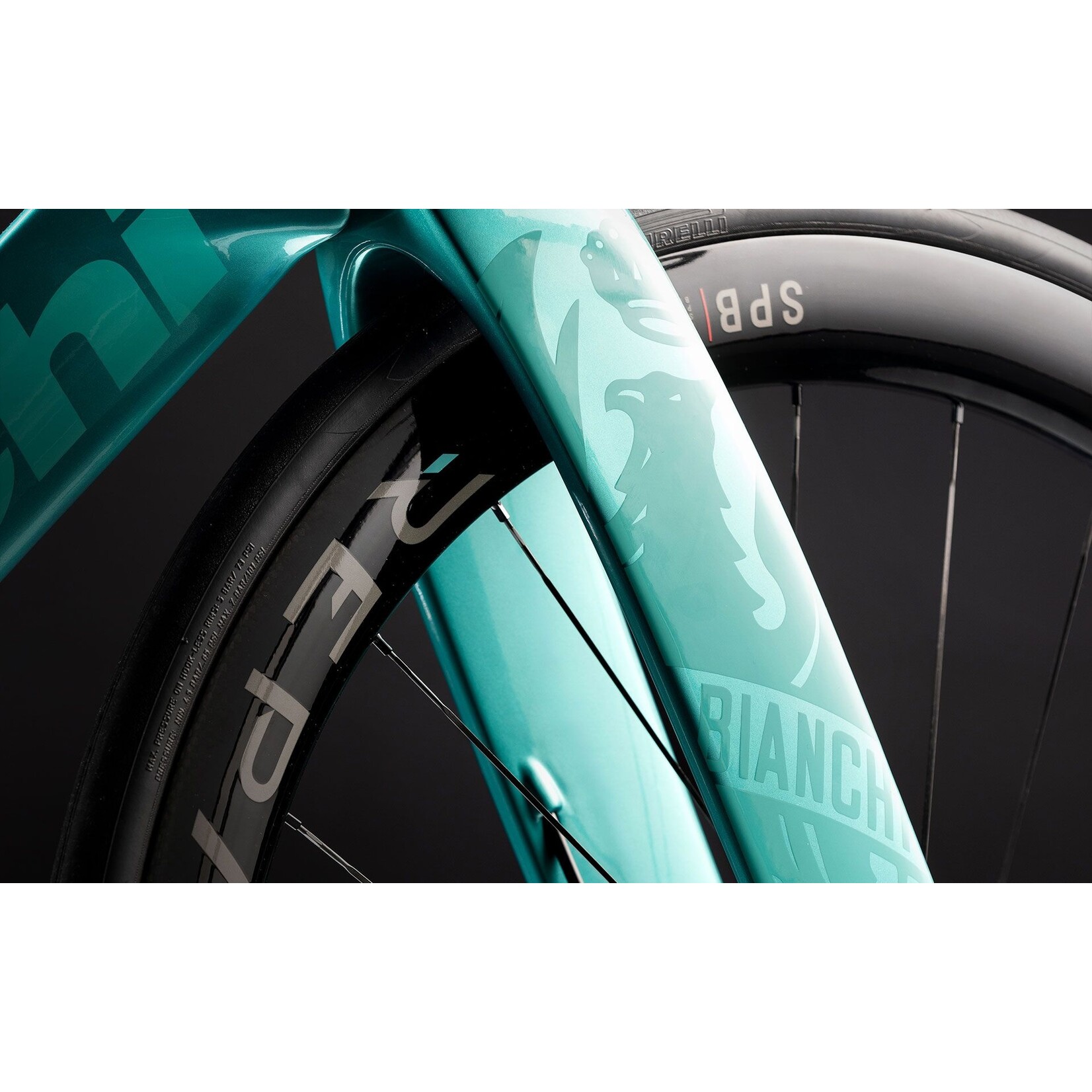 Bianchi Bianchi Aquila TT Frameset 2026
