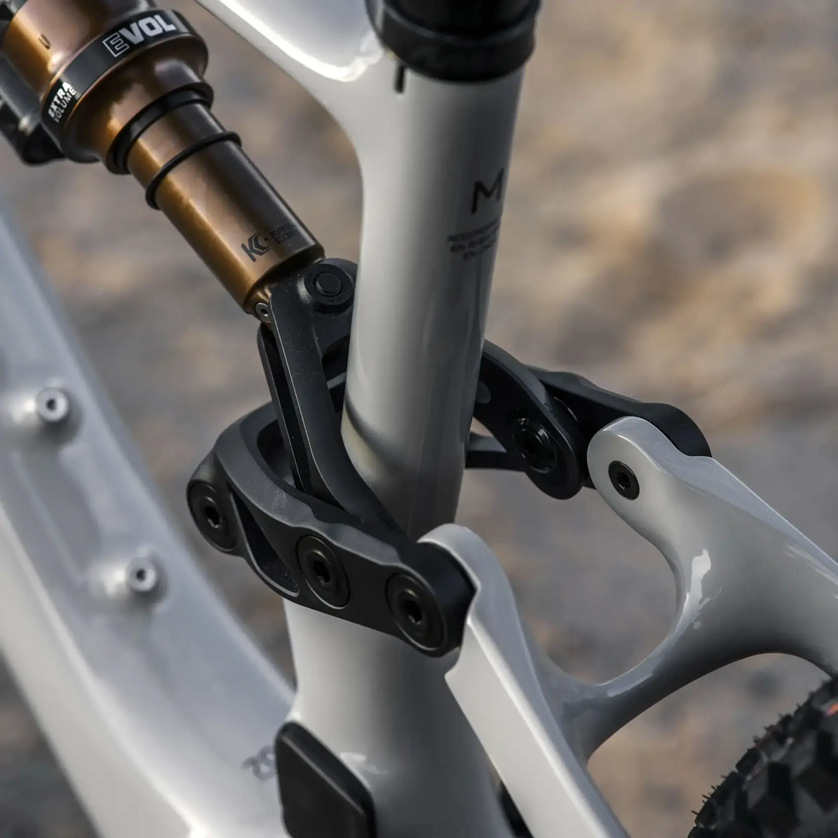 Amflow Amflow PX Carbon Pro Electric Mountain Bike