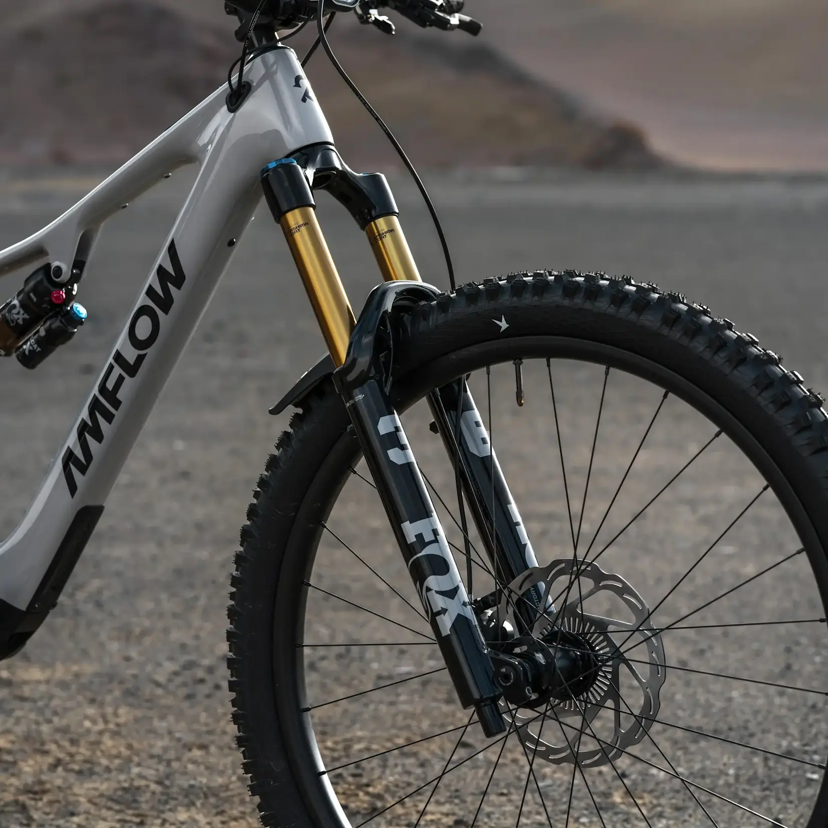 Amflow Amflow PX Carbon Electric Mountain Bike