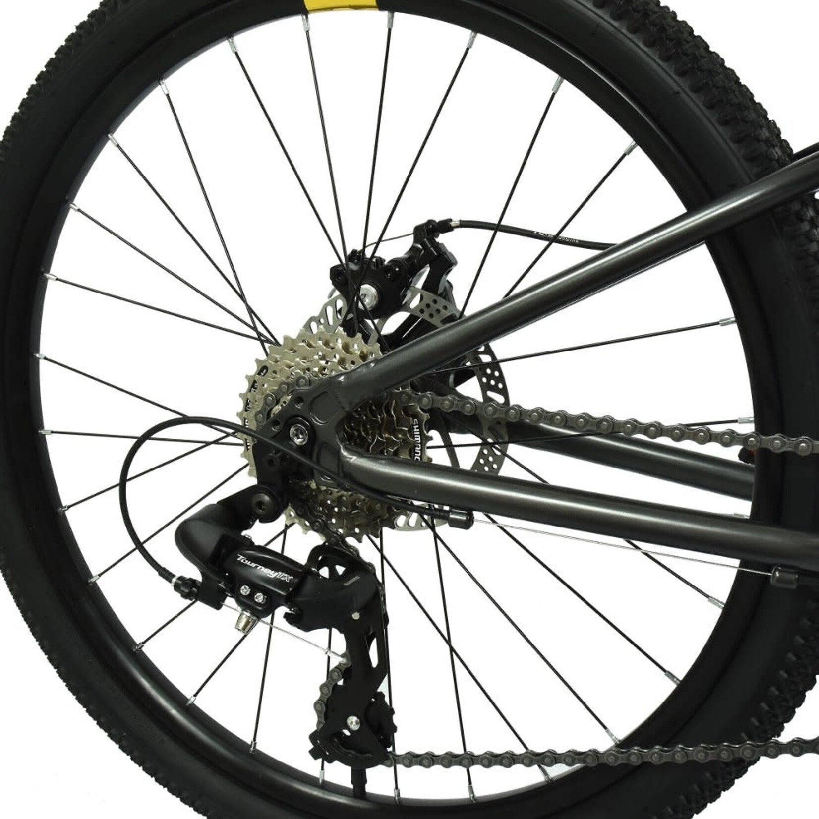 HOY HOY Pentland 26" Kids Bike