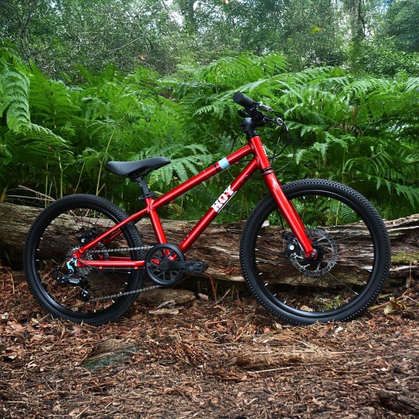 HOY HOY Pentland 24" Kids Bike