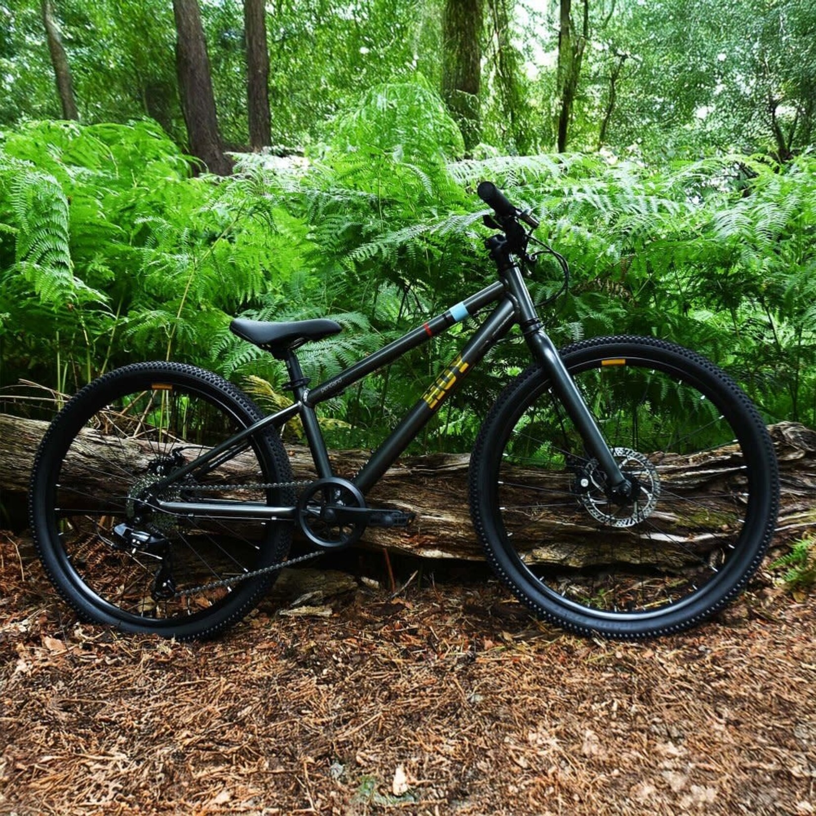 HOY HOY Pentland 24" Kids Bike