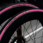 VITTORIA Vittoria Corsa Pro Pink Giro d'Italia Tyres