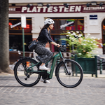Electric Bikes