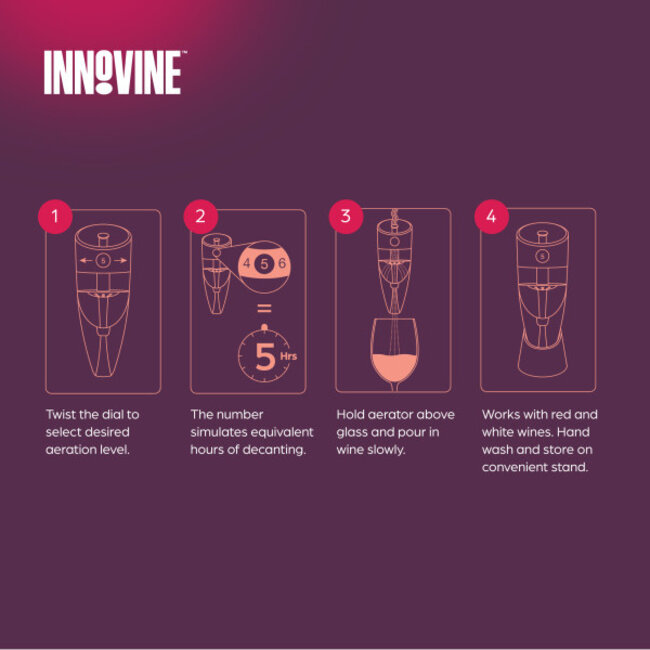 Innovine™ Adjustable Wine Aerator in Graphite